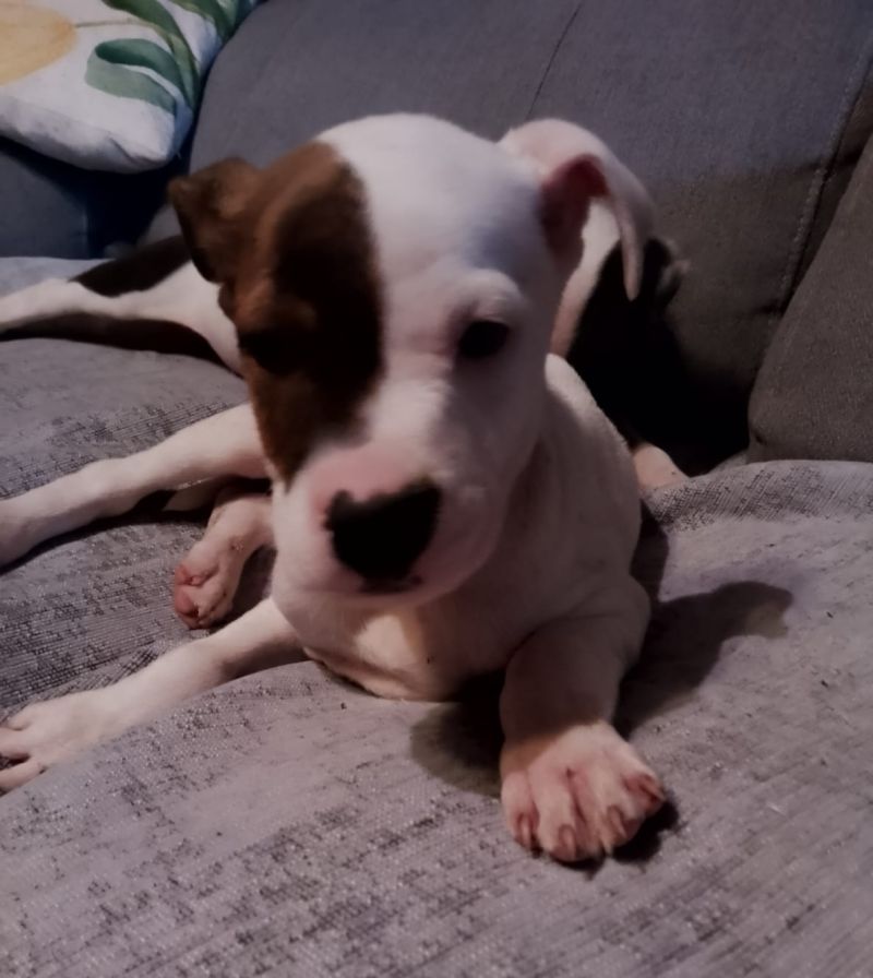 Neo
