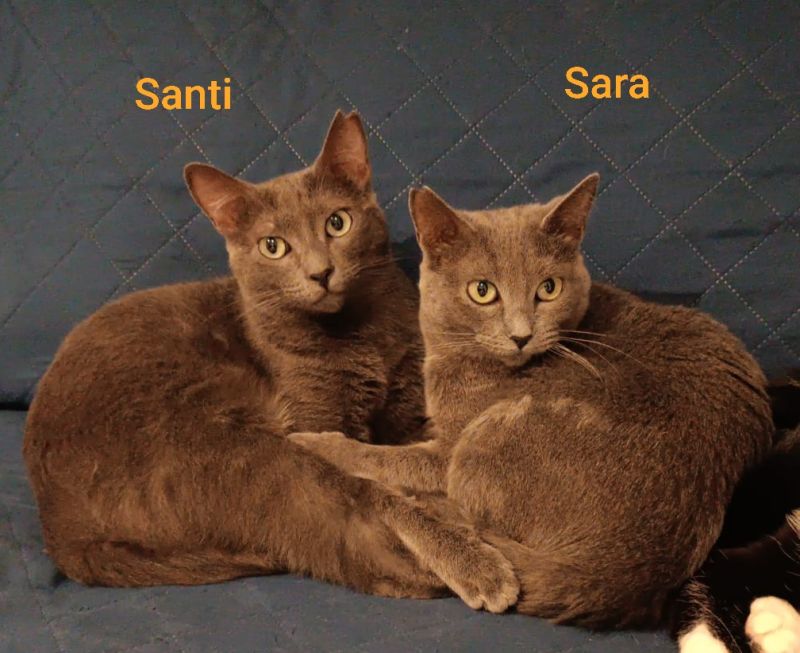 Sara y Santi